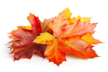 A couple of red and yellow leaves laying on top of each other