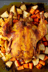 Homemade Hearty Roasted Chicken on Tray, top view. - 788248301