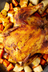 Homemade Hearty Roasted Chicken on Tray, top view. - 788248563