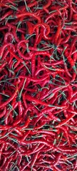 Collection of red chilies seen from top view