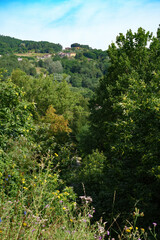 Summer landscape along the road from Bagni di Lucca to Castelnuovo Garfagnana, Tuscany - 788261339