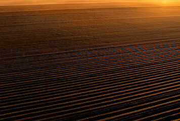 Plowed field. Aerial photo in sunrise light with a fresh plowed agricultural land for spring planting of vegetables. Farming industry video.