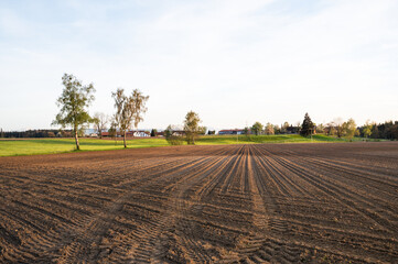 Fototapeta na wymiar Agricultural field with even rows in the spring