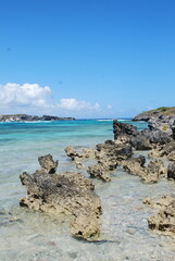 Vertical shot of a rocky ocean beach on a beautiful sunny day