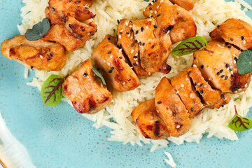 Tandoori chicken. Close up photo of a plate with tender, juicy, moist grilled chicken over some rice. Healthy way to cook.