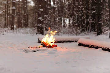 Campfire burning in winter forest