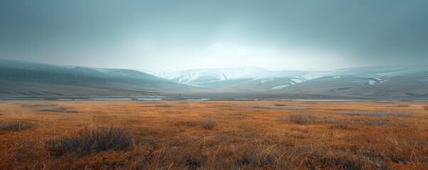 Editorial photograph highlighting the simplicity and purity of a tundra scene. - obrazy, fototapety, plakaty