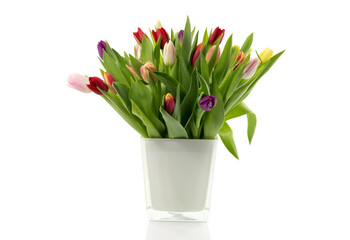 bouquet of tulips in white vase - 788273550