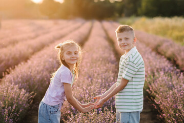A smiling childs boy and girl standing in a lavender field at sunset. Friends hold hands among...