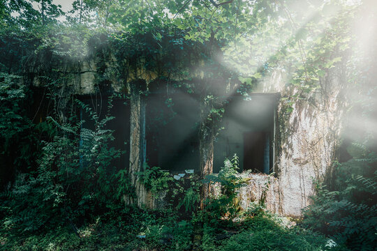 Abandoned facade overgrown with vegetation, remnants of a building swallowed by nature.