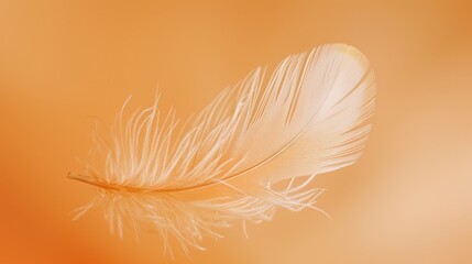 A macro shot of a delicate white feather against a vibrant orange background, highlighting the natural beauty and intricate details of this winged fashion accessory.