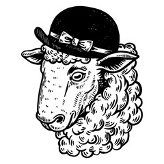 Sheep animal in woman hat engraving PNG illustration. Scratch board style imitation. Black and white hand drawn image.
