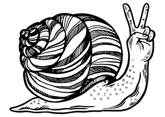 Fantastic fabulous snail with human hand instead head animal engraving PNG illustration. Scratch board style imitation. Black and white hand drawn image.