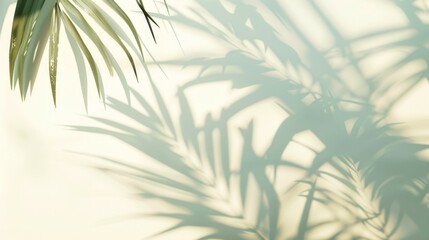 Fototapeta na wymiar This is an image of elegant tropical palm leaves shadow on a beige background. The exotic summery backdrop with sunlight and foliage creates a natural botanical wallpaper or mockup for text placement.