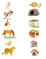 animals and their homes, match the following, exercises, 