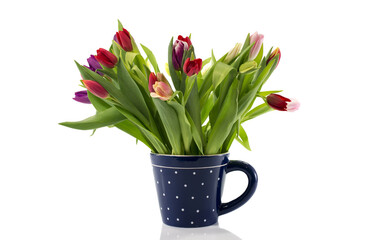 bouquet of tulips in blue coffe cup - 788285920