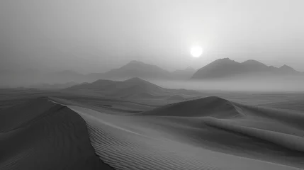Foto op Canvas The silence of the desert, broken only by the occasional whisper of the windillustration © Claudine