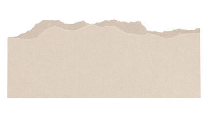 Torn paper png sticker, transparent background