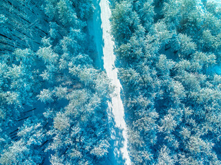 Top view of the road in the winter pine forest. Winter landscape. Snowy pine forest. Trees covered with snow