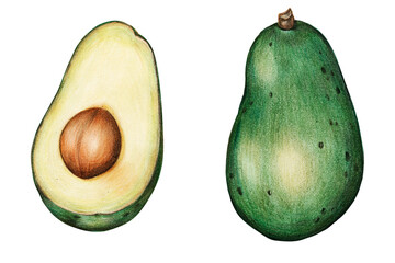 Organic food png avocado drawing illustration