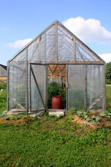 A large red barrel of water stands in the door of the wooden greenhouse. Water barrel for watering plants