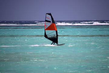Windsurfing in turquoise lagoon water, Lac Bay, Bonaire, Caribbean Netherlands - 788298352