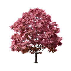 a tree with pink leaves