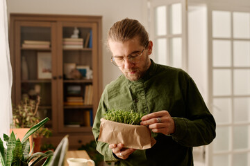Modern man in eyeglasses looking at tiny green wheat germs in small box in his hands while taking...