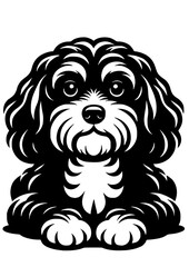 Labradoodle SVG, Dog SVG, Dog Breed SVG, Labradoodle Face, Dog Face, Dog Head, Dog Silhouette, Labradoodle Silhouette, Dog Clipart, Dog Cricut, SVG, JPG, PNG, Labrador SVG