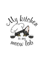 My kitchen is my meow lab