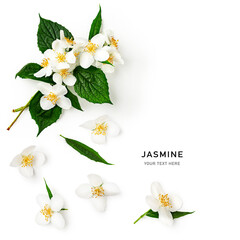 Jasmine flowers bouquet with stem and leaves isolated on white background.
