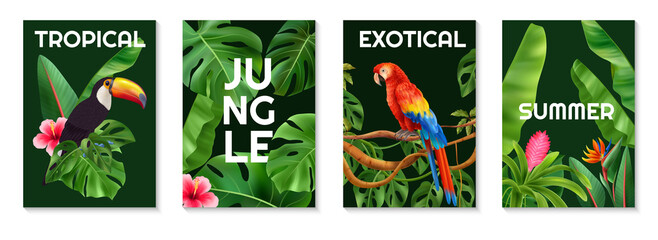Realistic colorful jungle card set