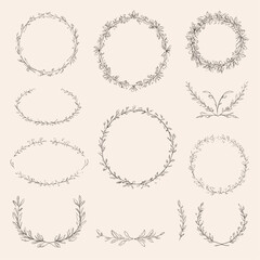 Set of hand drawn floral frames dividers vector image