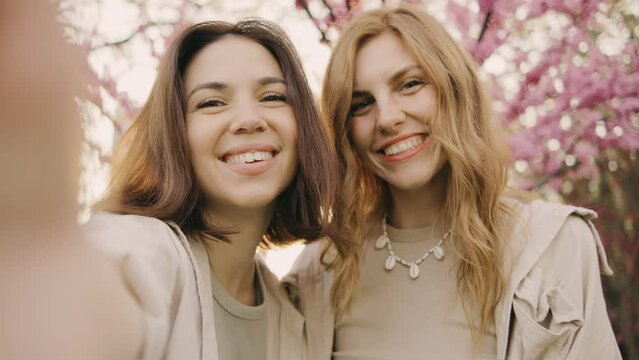 POV shot of two incredibly beautiful young women take a selfie on a smartphone in a park against the background of pink blooming spring trees. Girls laugh, rejoice and make faces at the camera