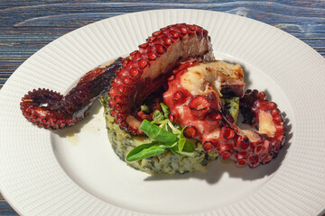 Balkan cuisine. Plate with grilled octopus on rustic table