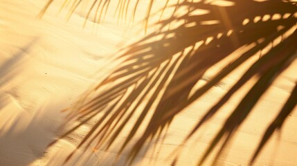Palm leaf shadow on golden beach sand at sunset