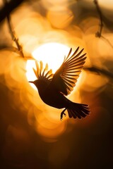 Silhouette of bird in flight against sunset