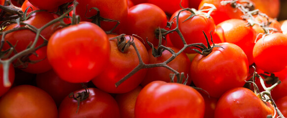 Lots of tomatoes on a branch on counter - 788338751