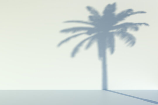 Out of focus shadow of a palm tree on a wall. Summer background