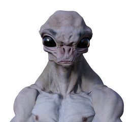 Illustration of a muscled body alien upper torso and large black eyes looking forward on a white background. - 788340596
