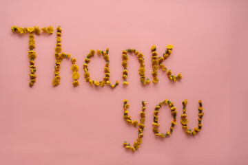 Thank you. Phrase written with flowers on a pink background