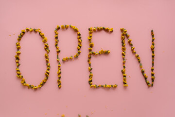Open. Word written with flowers on a pink background