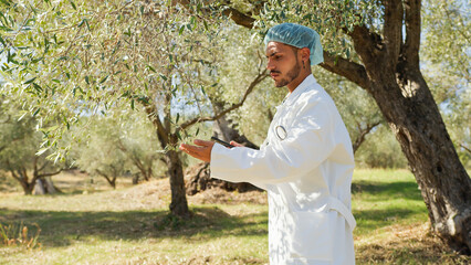 Agronomist checking the correct growth of an olive tree 