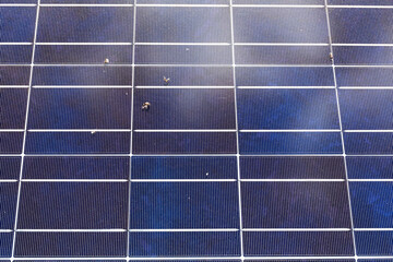 Close view of a solar panel with pollen and dirt