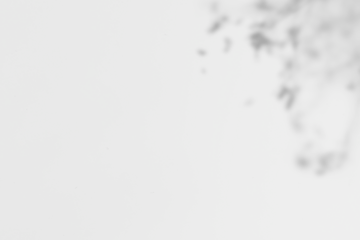 Tropical leaf shadow background png