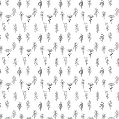 Flowers branch drawing summer design.