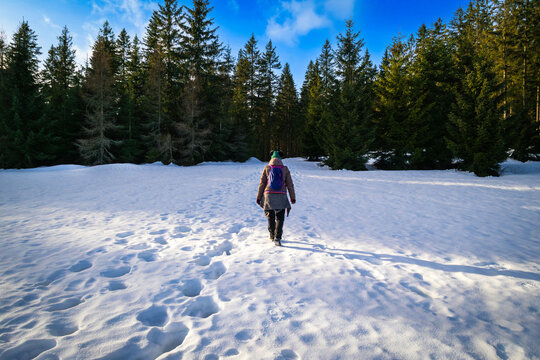 A small winter trip in the Jizerka mountain region , Czechia. walking across the snowy landscape, mountain area.