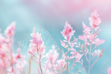 Obraz premium Beautiful Pink Flowers Blooming in a Field Under a Clear Blue Sky with Blurred Background Nature Scenery Landscape Capture