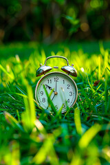 alarm clock on the grass in the park. selective focus.