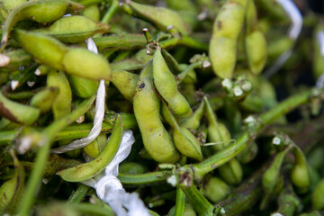 Edamame is the Japanese name for unripe soybean pods. This can be found in East Asia, such as Japan, Taiwan, Korea or China.